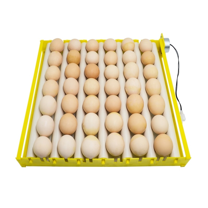 Automatic 360 Degree Quail Egg Turner