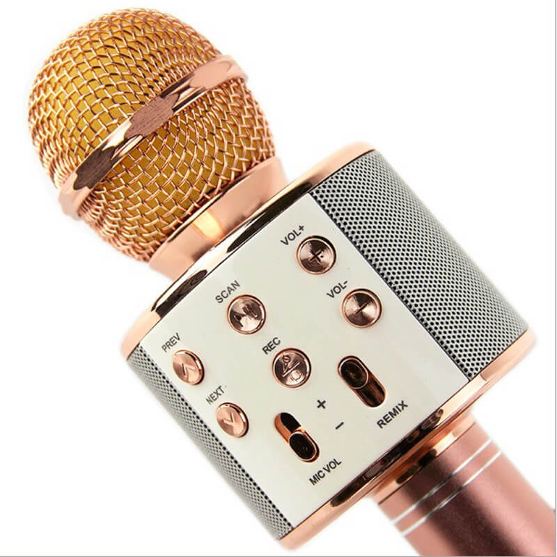 Portable Microphone 3-in-1 Speaker