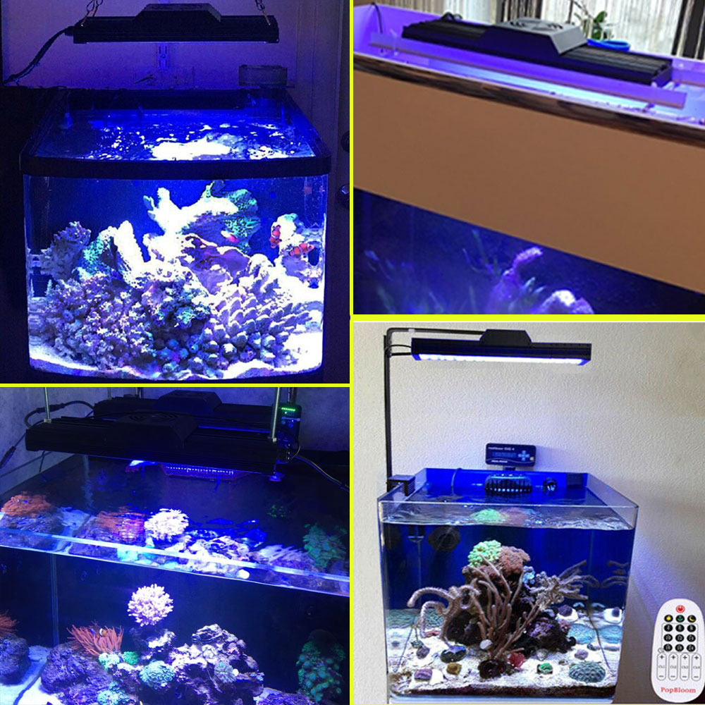 LED Fish Tank Light with Remote Control