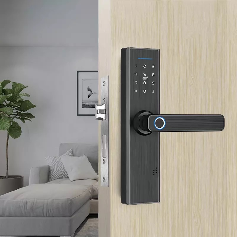 Smart Door Knob Fingerprint Unlock