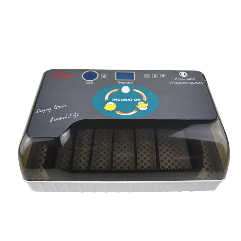 Quail Egg Incubator 12-Egg Capacity