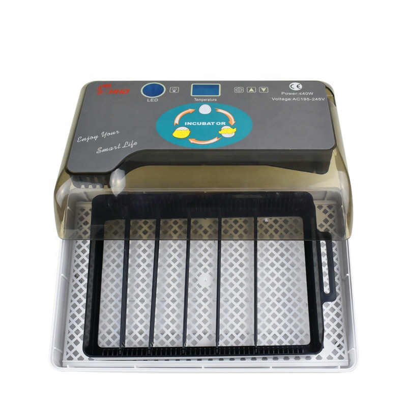 Quail Egg Incubator 12-Egg Capacity