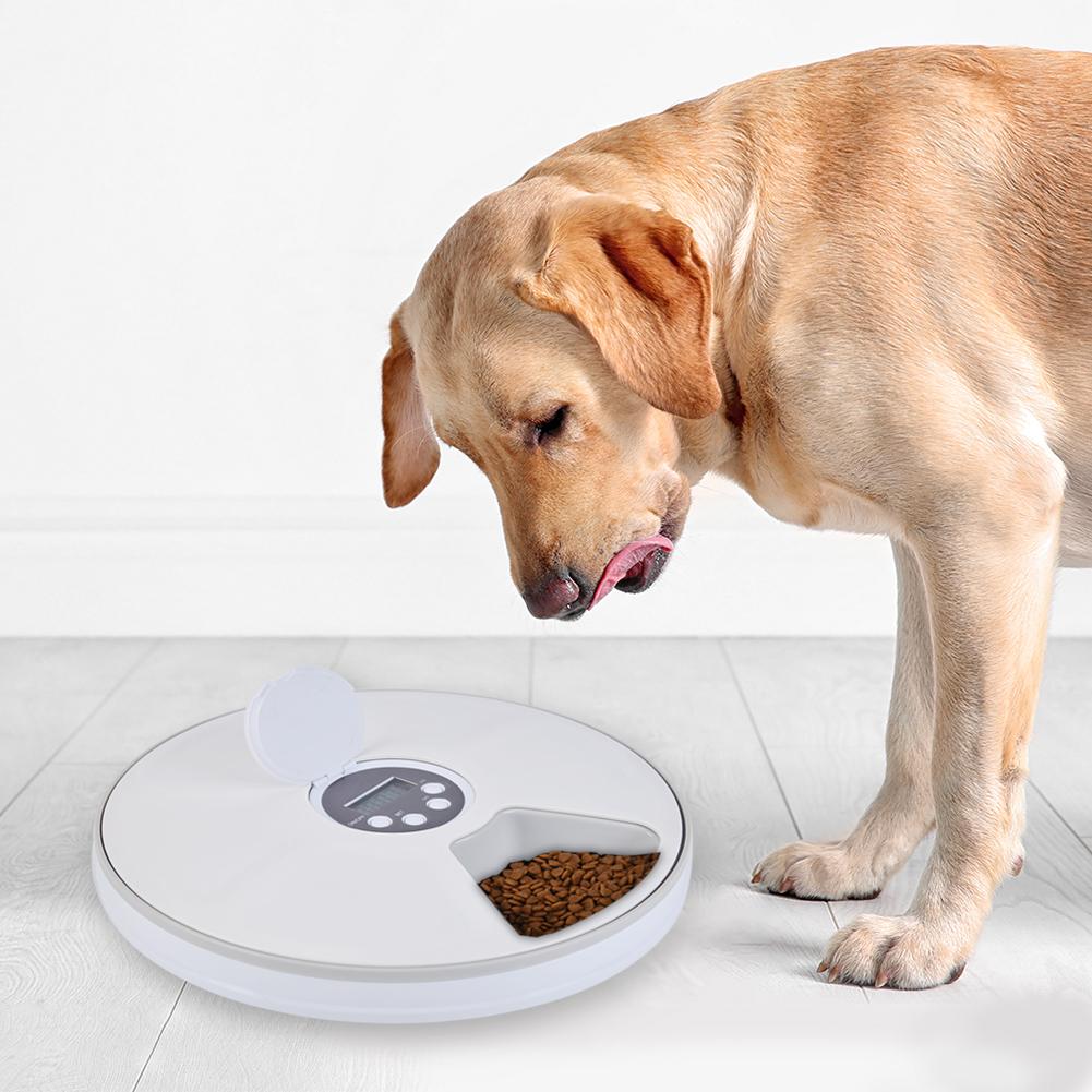 Timed Dog Feeder 6-Grid Food Tray