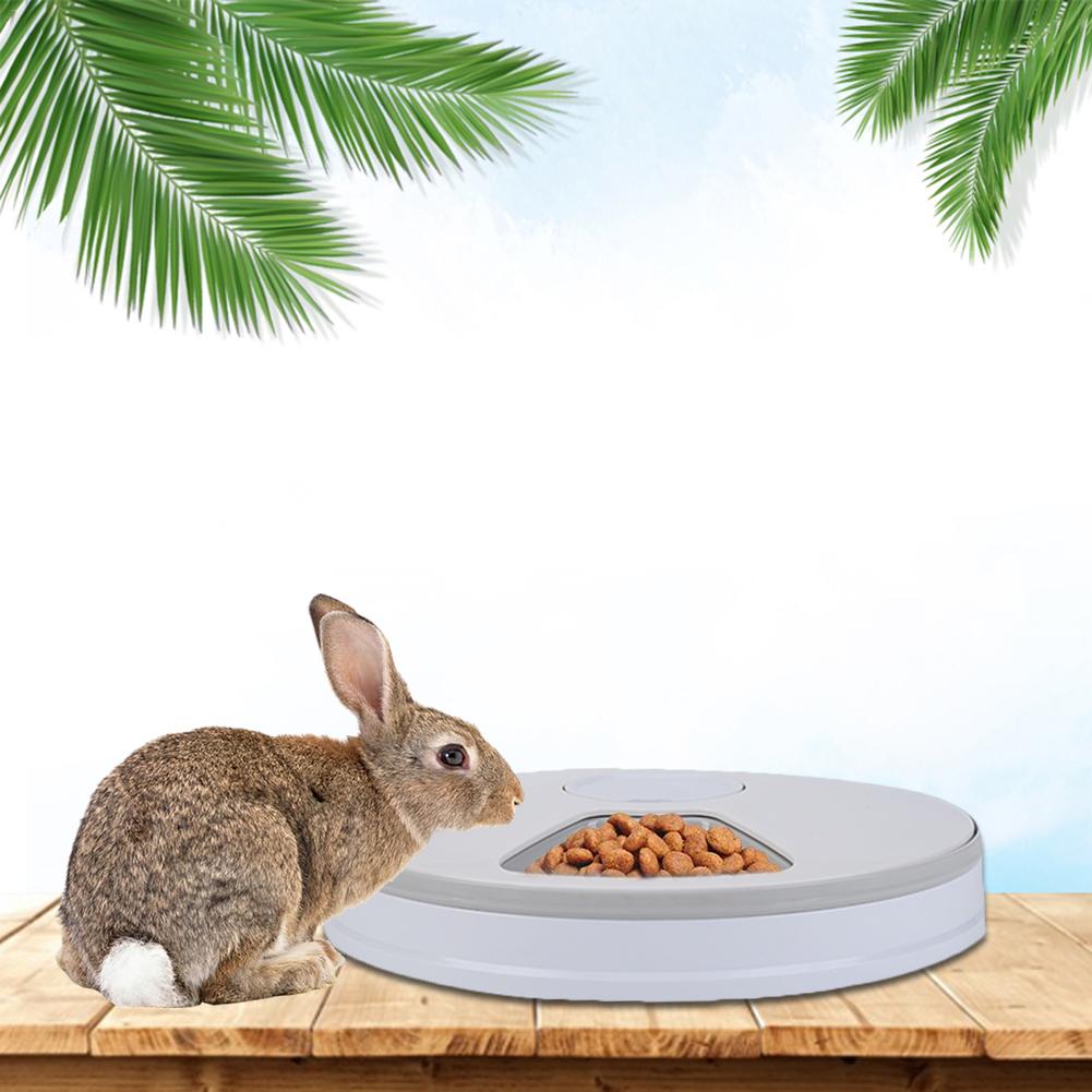 Timed Dog Feeder 6-Grid Food Tray