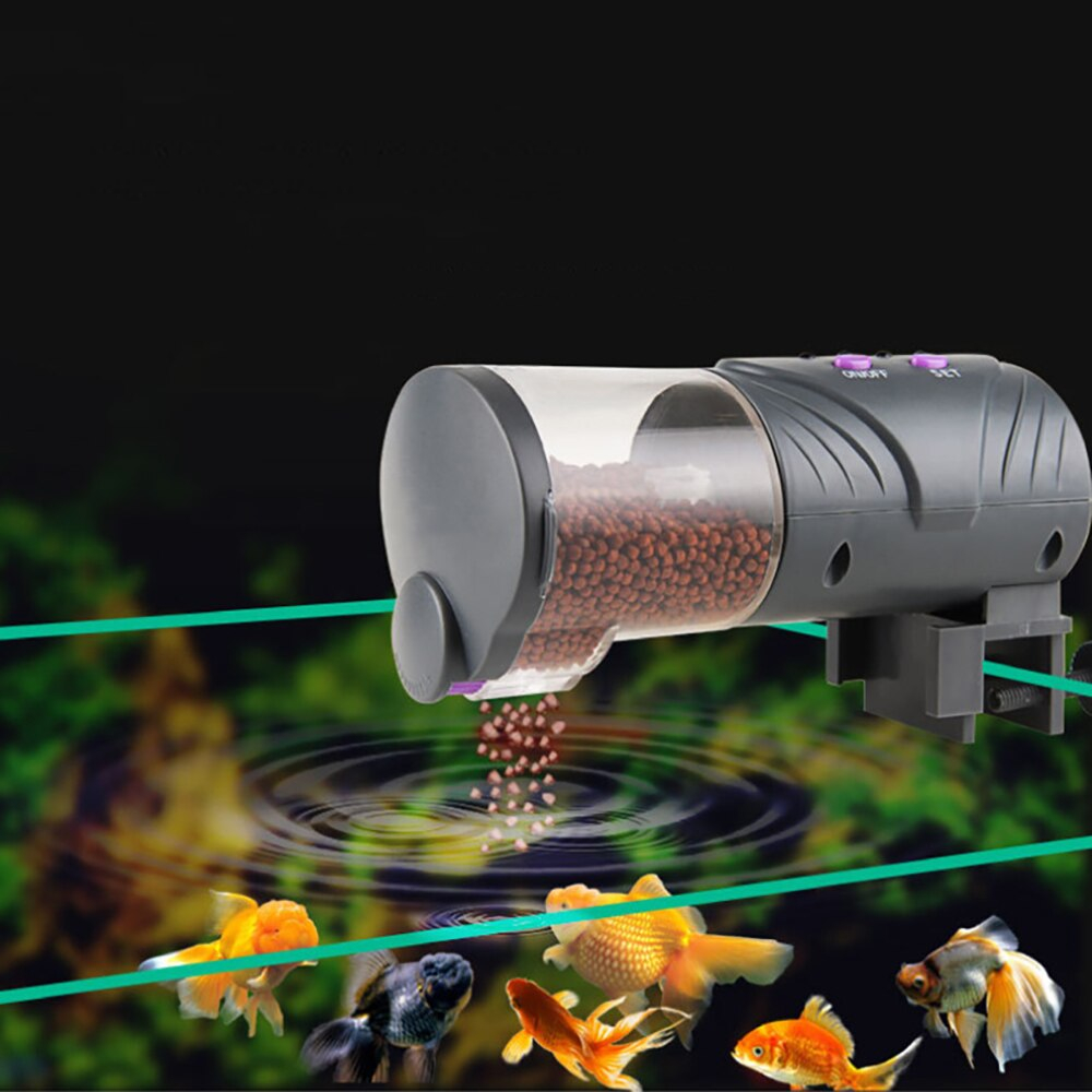 Auto Fish Feeder with Timer