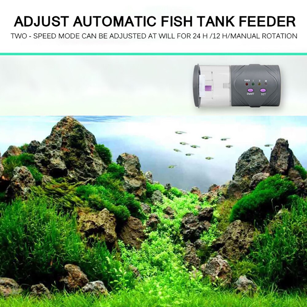 Auto Fish Feeder with Timer