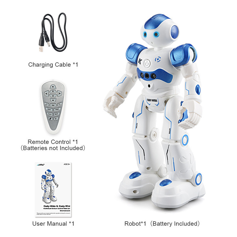 Gesture Controlled Robot Entertaining Toy