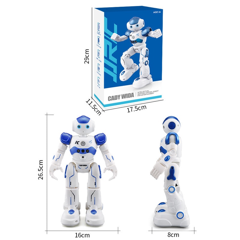 Gesture Controlled Robot Entertaining Toy