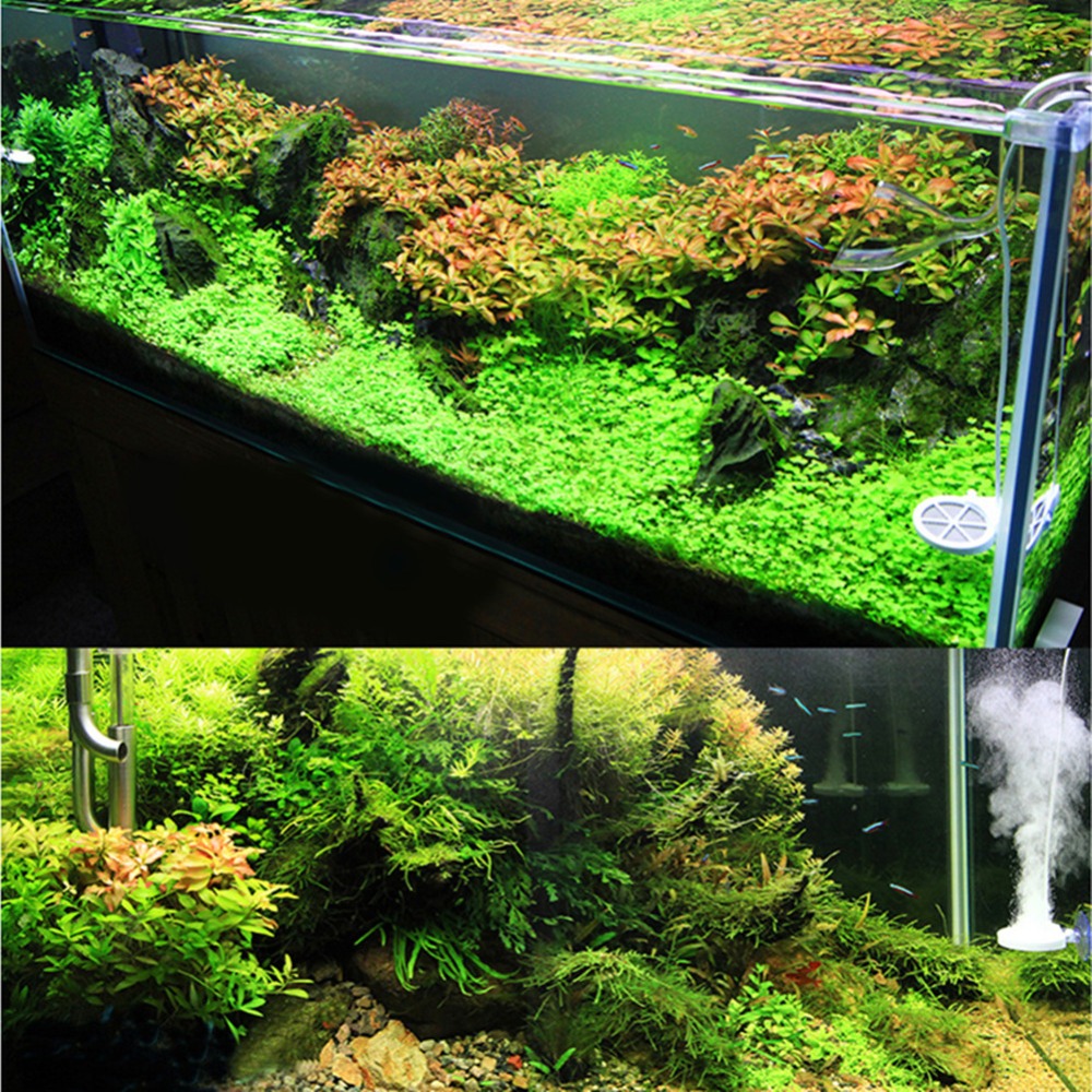 Algae Remover Device Fish Tank Cleaner