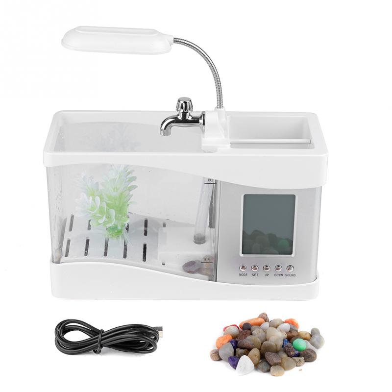 Mini Aquarium with LED Lamp