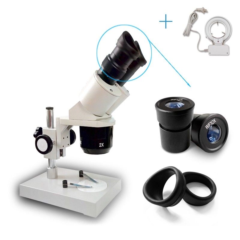 Binocular Microscope with Light