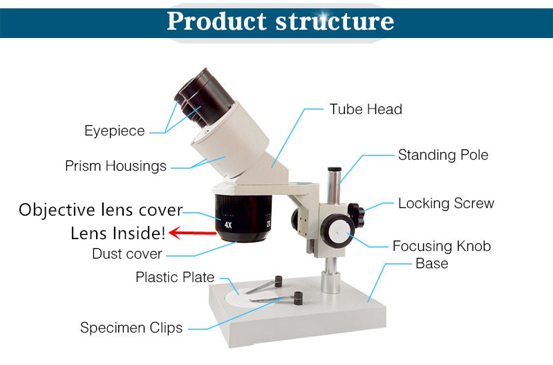 Binocular Microscope with Light