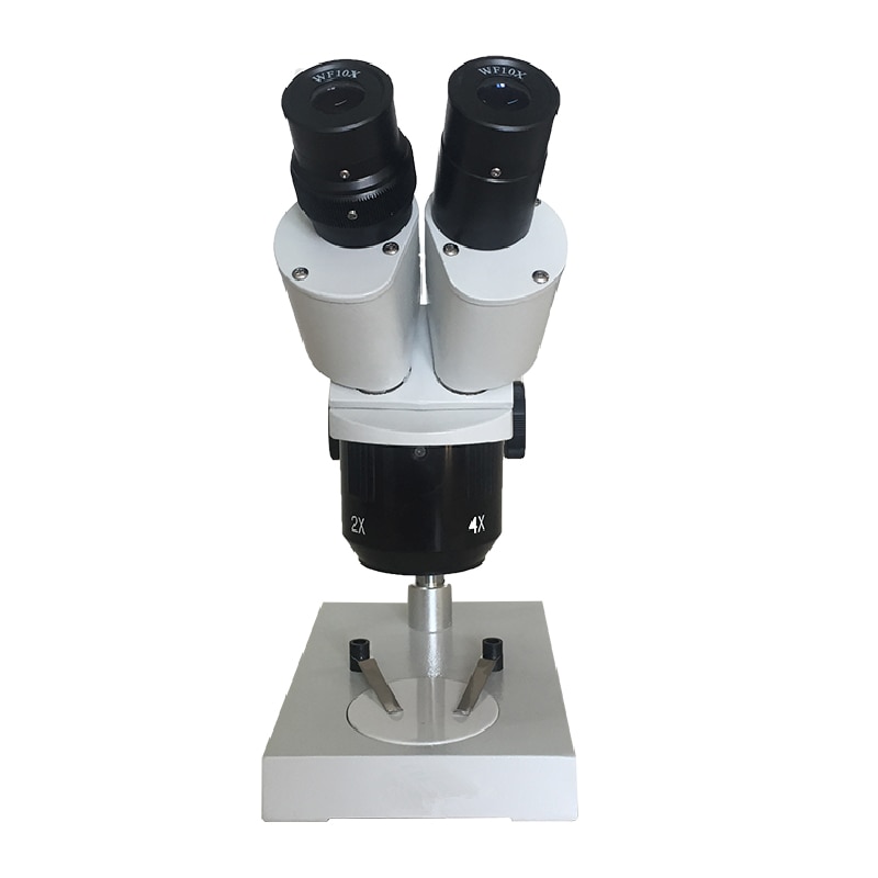 Binocular Microscope with Light