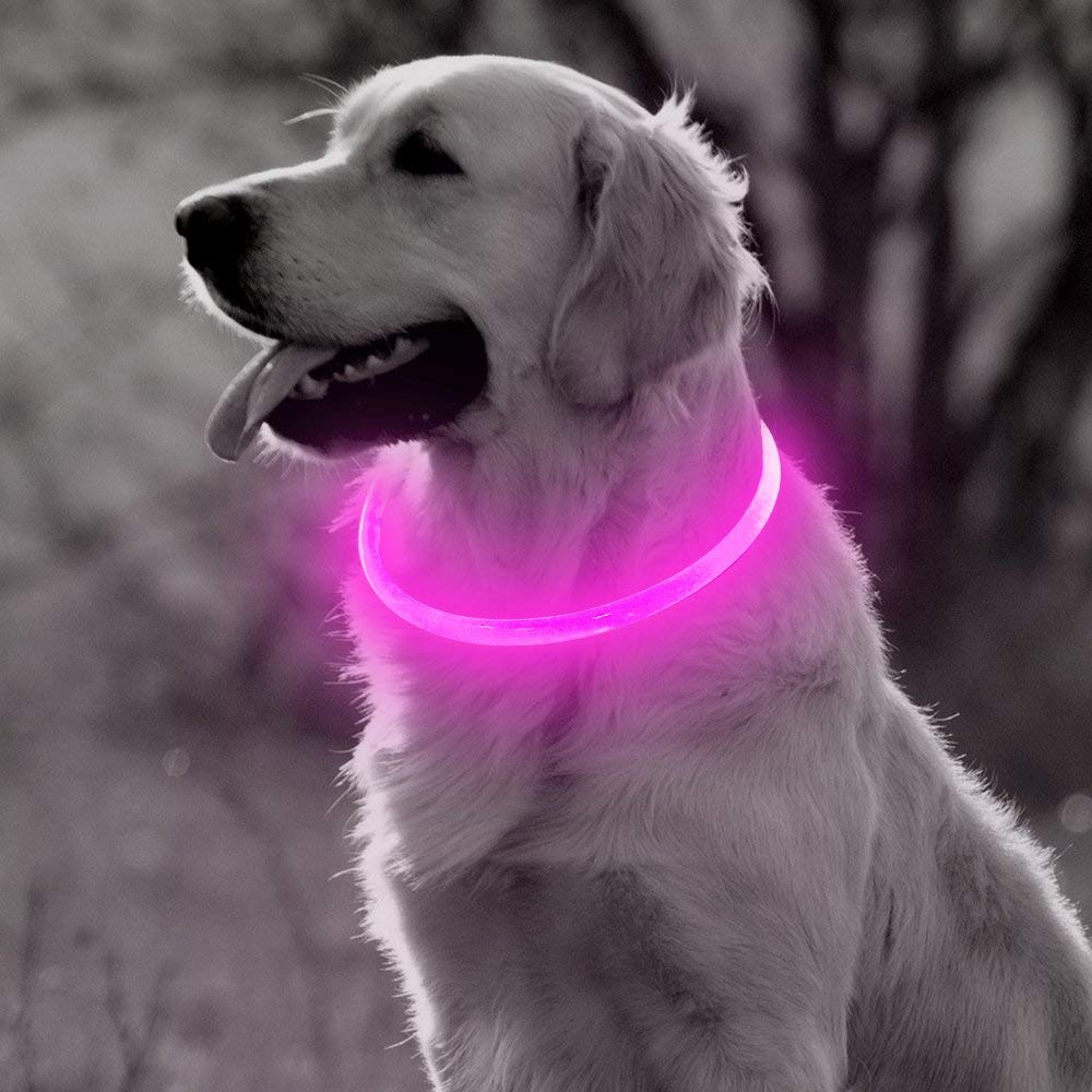 Light Up Dog Collar USB Rechargeable