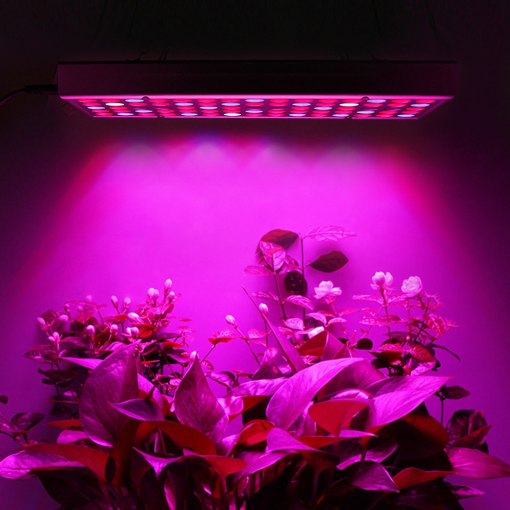 Grow Lamp Plant Growth Supplement Light