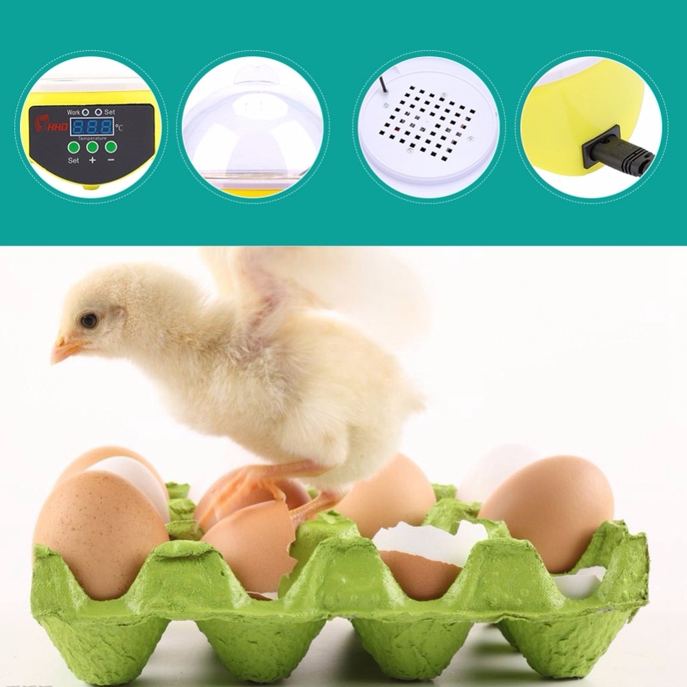 Egg Incubator Farm Brooder Kit