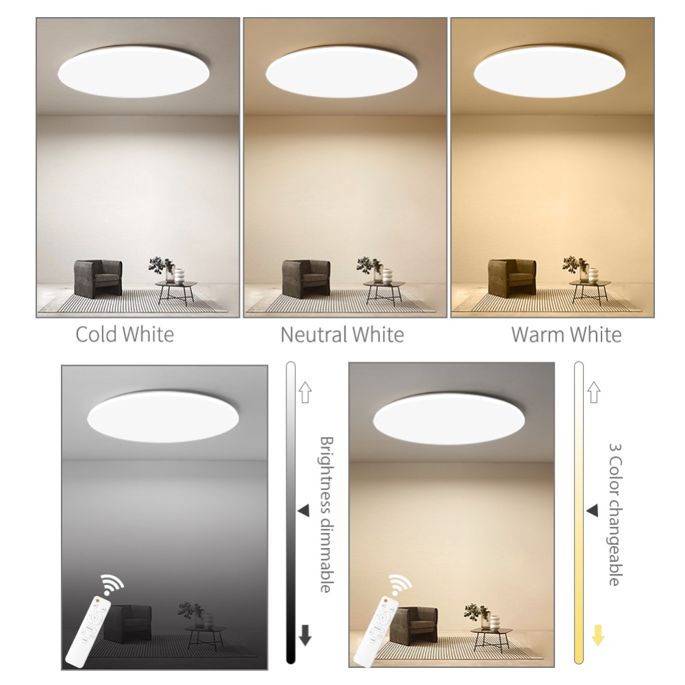 Ceiling Light Fittings LED Lamp