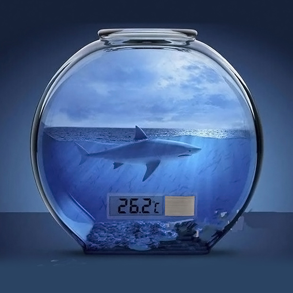 Aquarium Thermometer Digital Display