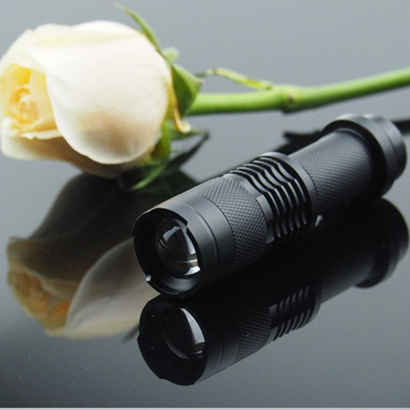 UV Flashlight Portable LED Torch