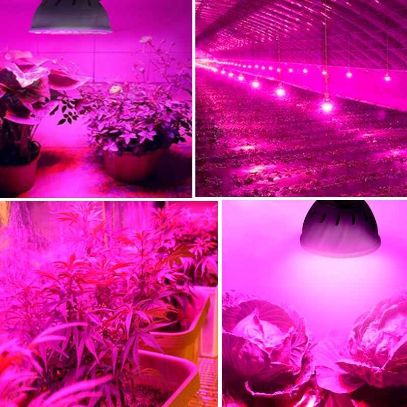 Plant Grow Lights Artificial Sunlight