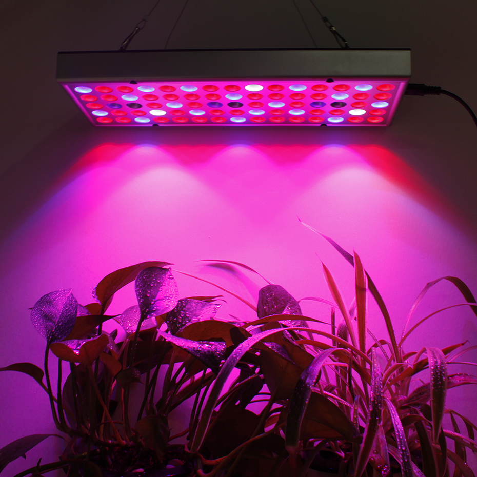 Full Spectrum Light LED Panel