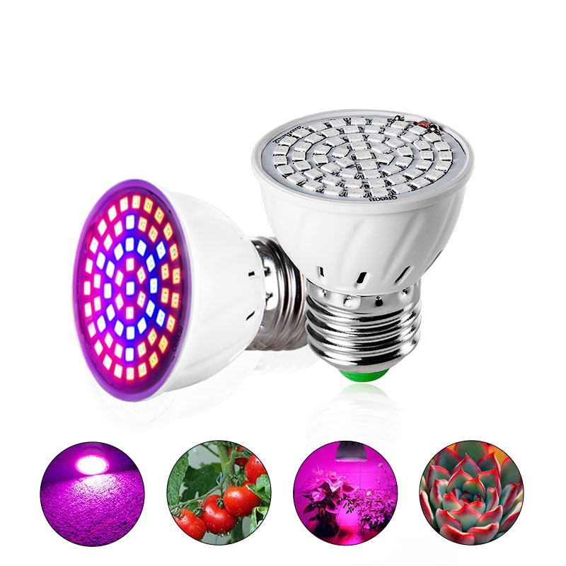 LED Grow Lights Indoor Photosynthesis