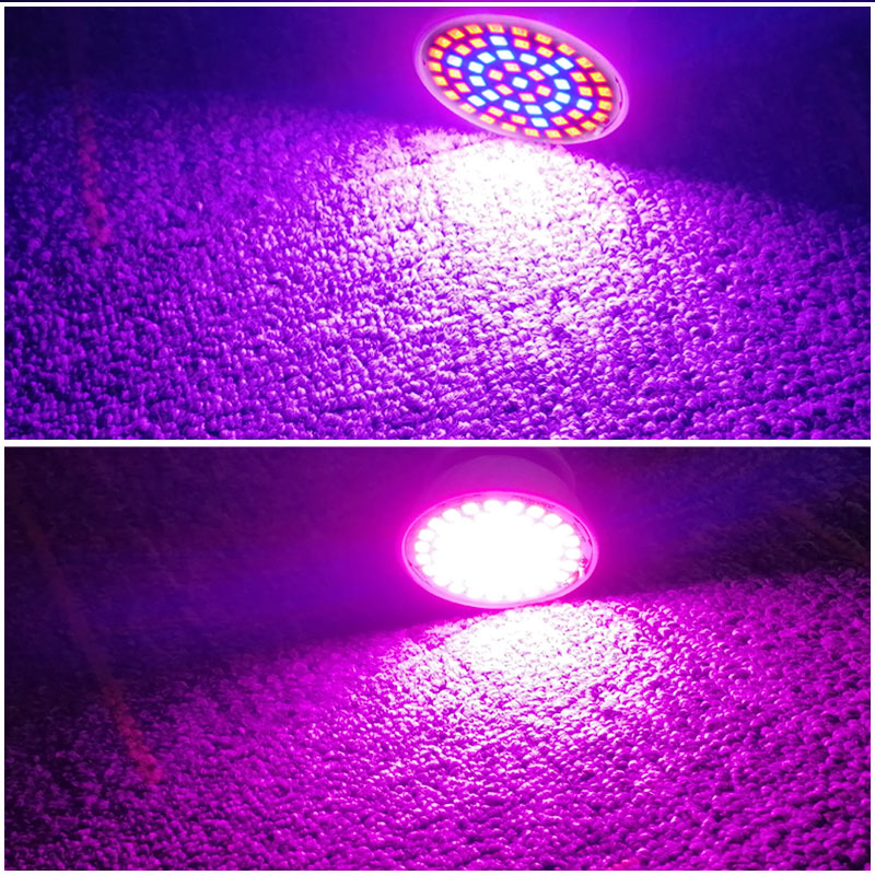 LED Grow Lights Indoor Photosynthesis