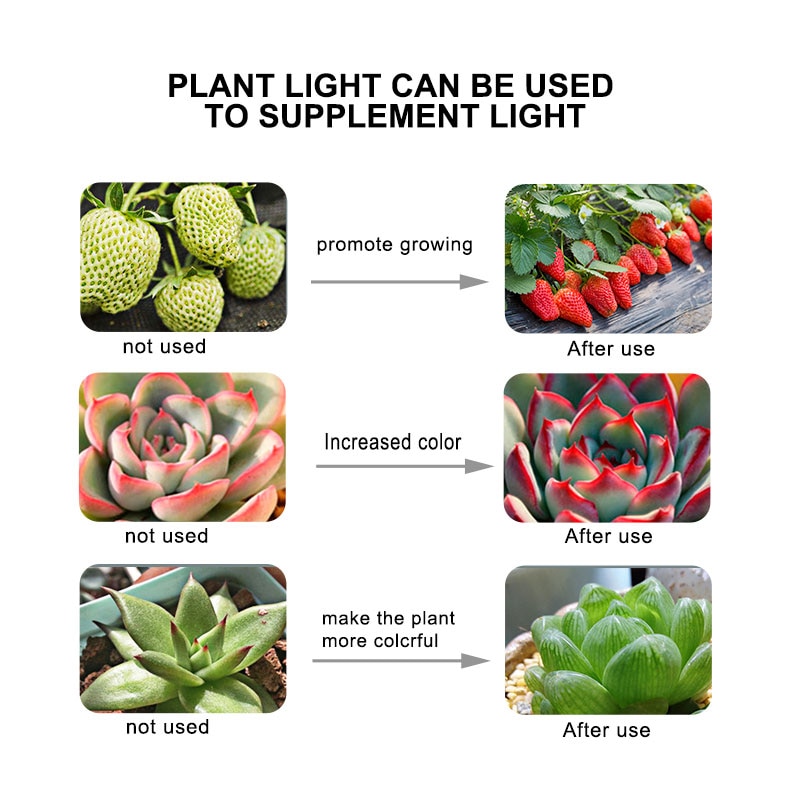 LED Grow Lights Indoor Photosynthesis