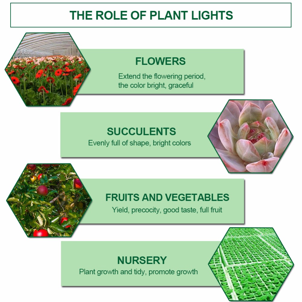 Plant Light LED Portable Grow Light Device