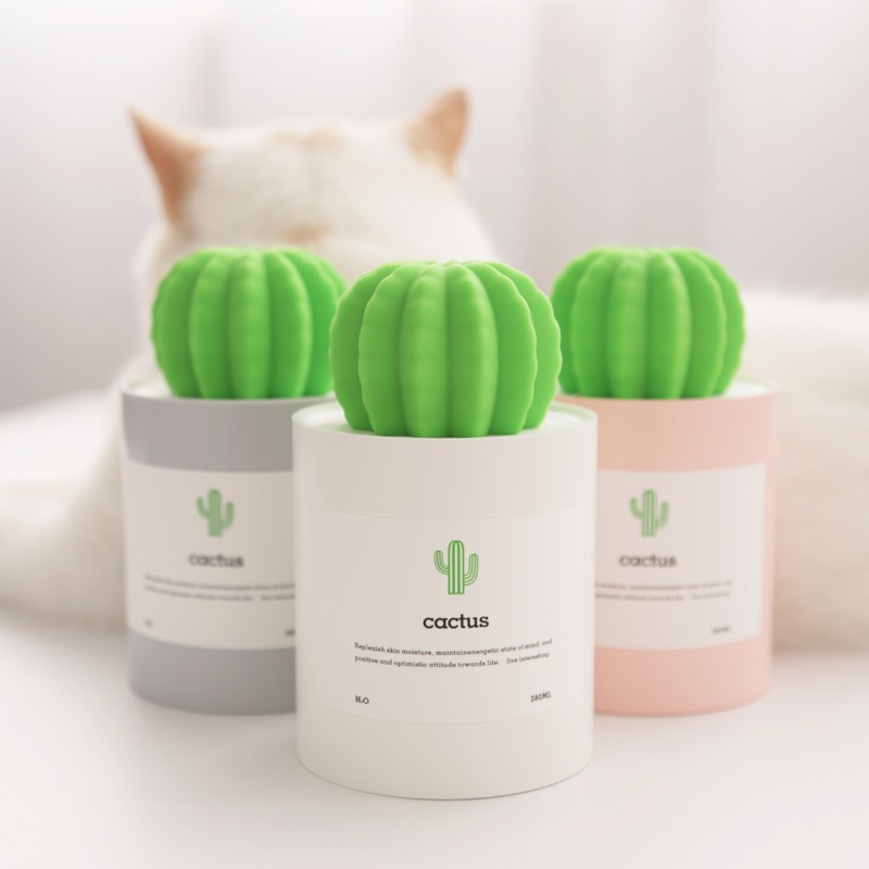 Small Humidifier Cactus Air Mist Maker