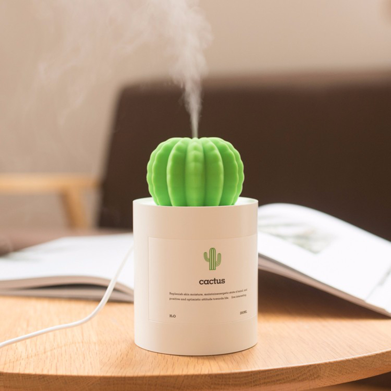 Small Humidifier Cactus Air Mist Maker