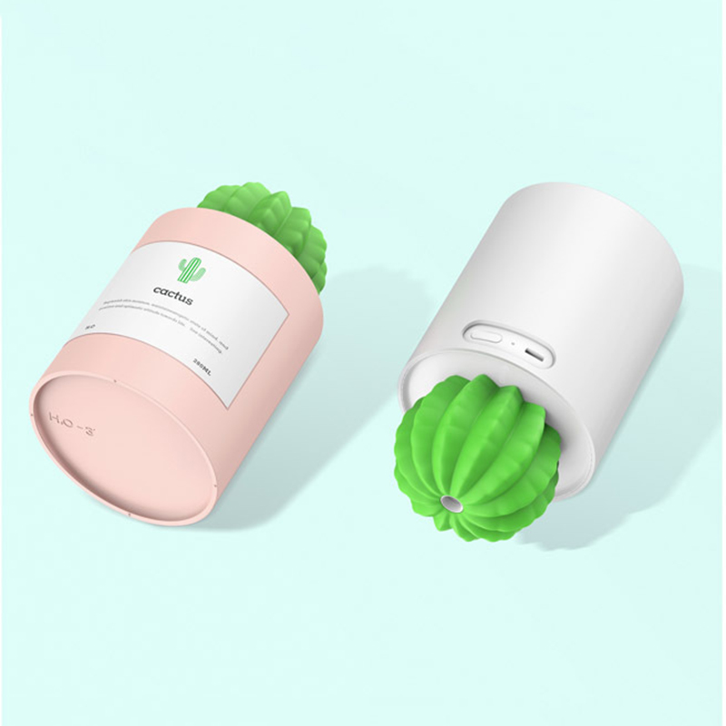 Small Humidifier Cactus Air Mist Maker