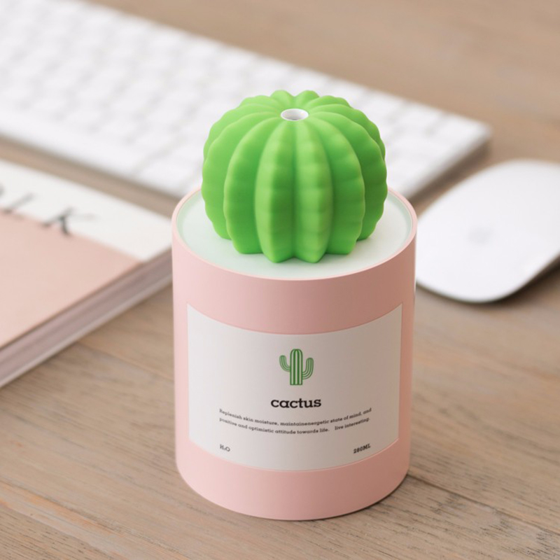 Small Humidifier Cactus Air Mist Maker