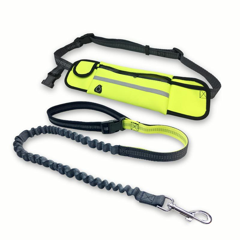 Elastic and Reflective Running Dog Leash