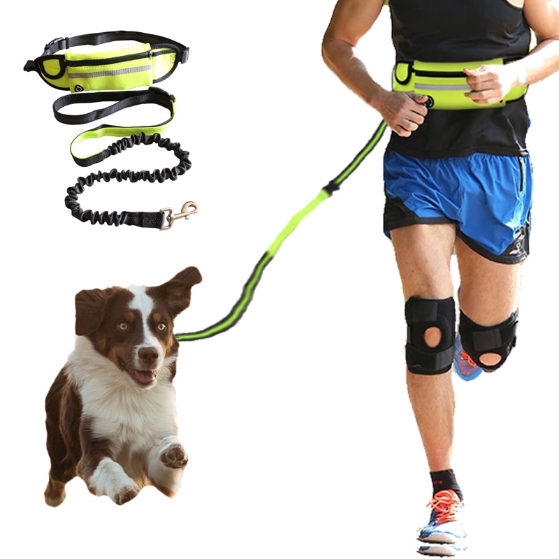 Elastic and Reflective Running Dog Leash