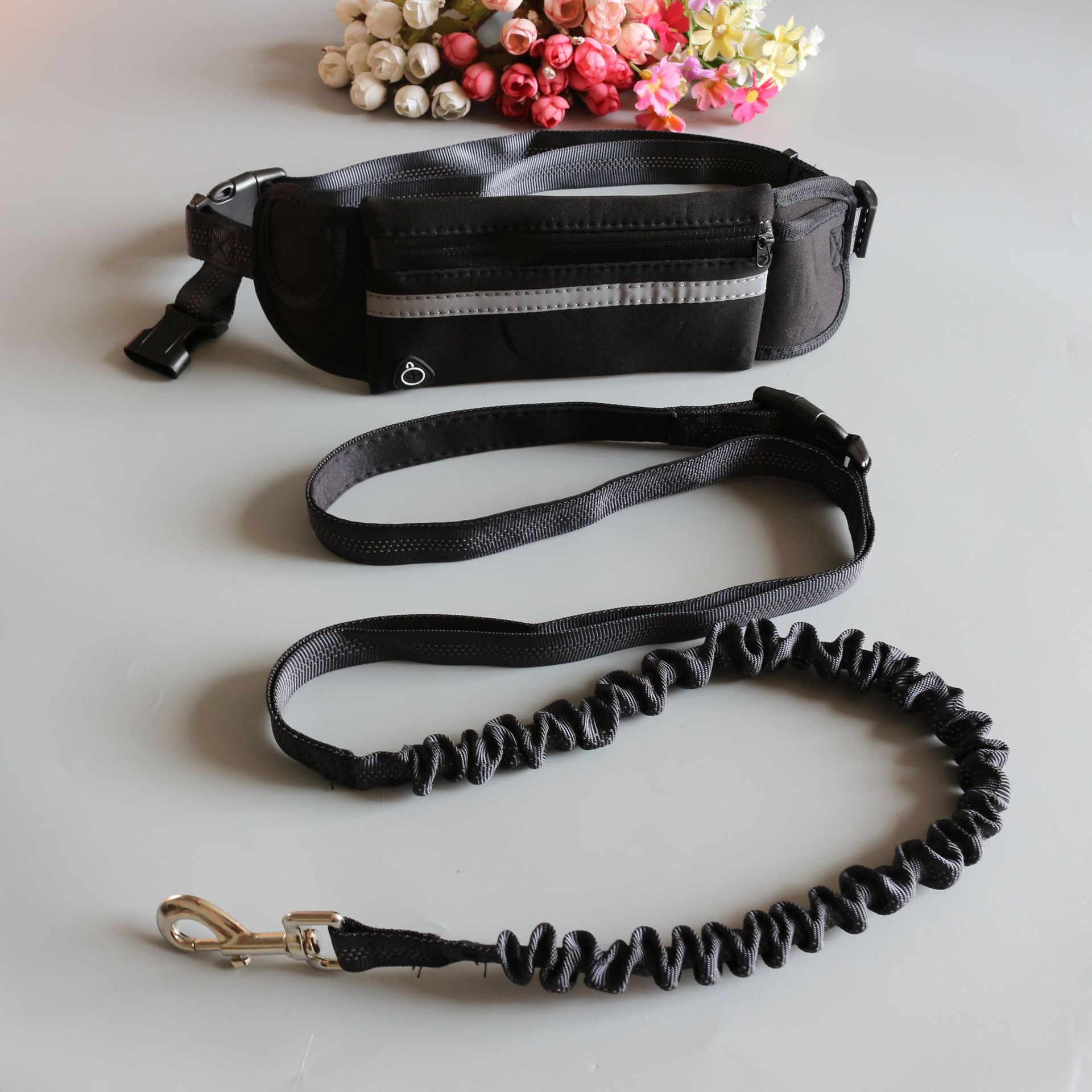 Elastic and Reflective Running Dog Leash