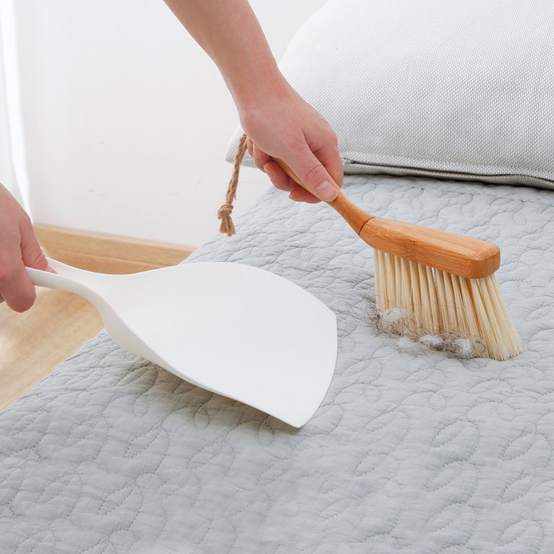 Small Dustpan and Brush Cleaning Tools
