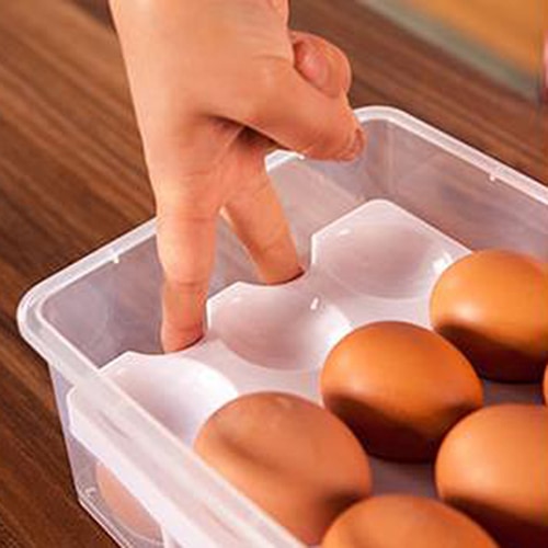 24 Grids Plastic Egg Container