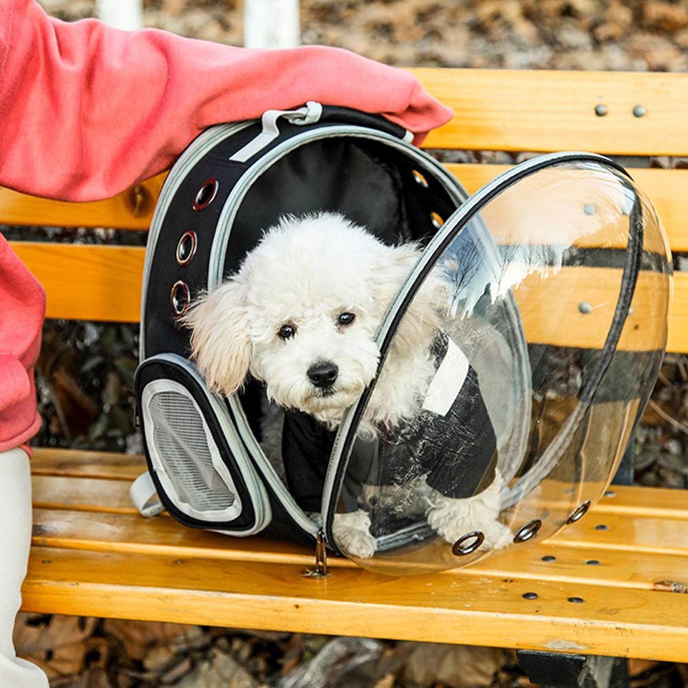 Cat Carrier Backpack Bubble Bag