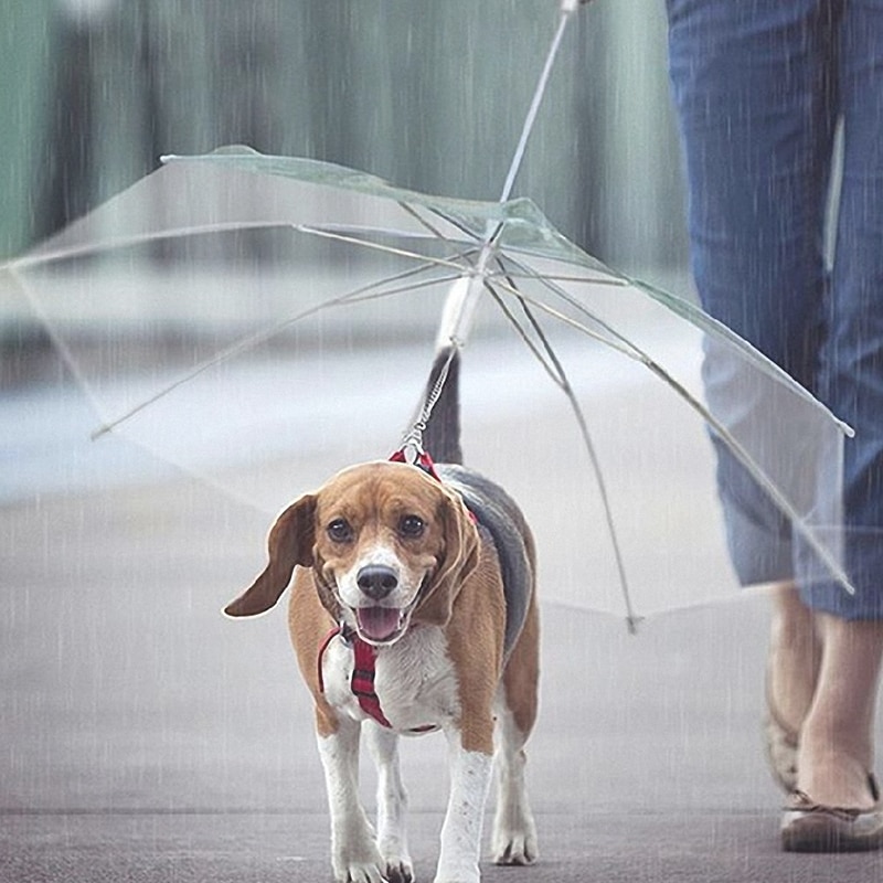 Dog Leash Umbrella Built-In Leash