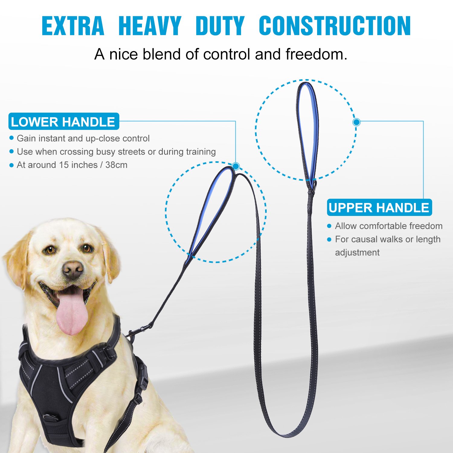 Double Handle Dog Leash Pet Accessory