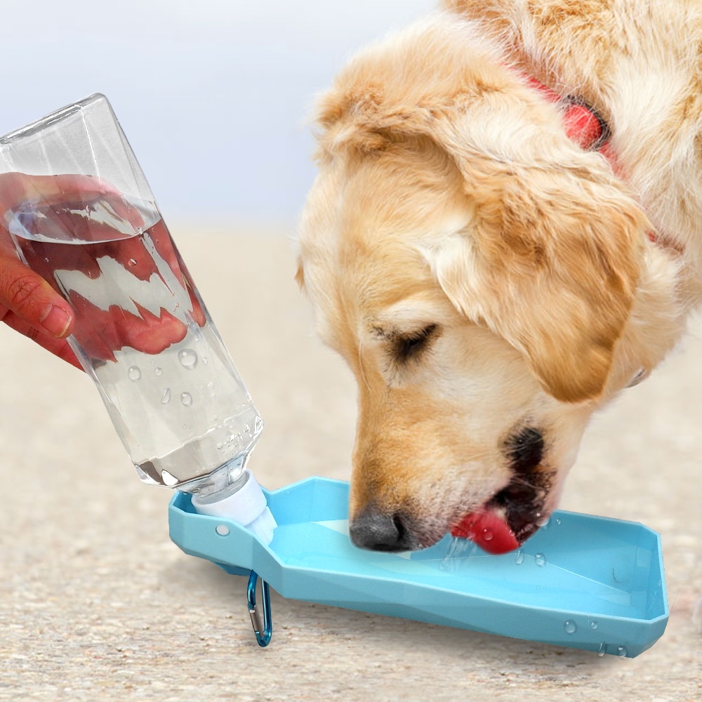 Dog Drinking Bottle Pet Water Dispenser