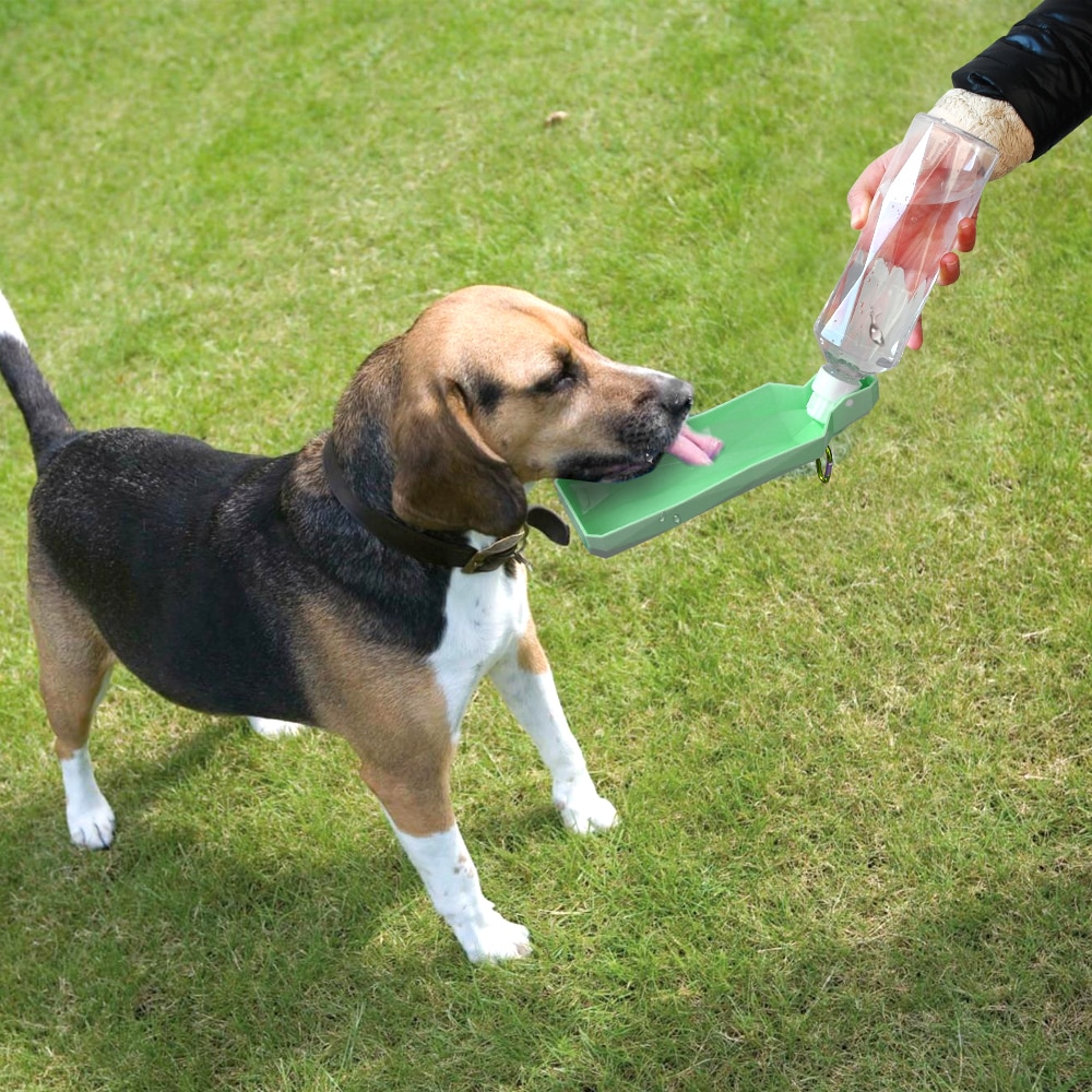 Dog Drinking Bottle Pet Water Dispenser