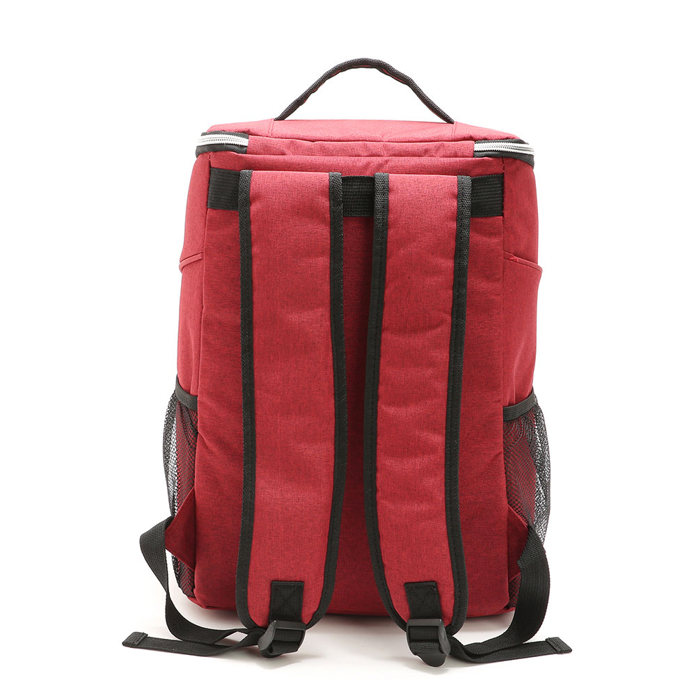 Insulated Backpack Cooler Thermal Bag