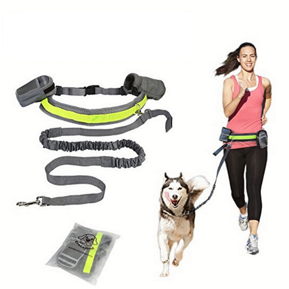 Dog Leash Waist Reflective Belt