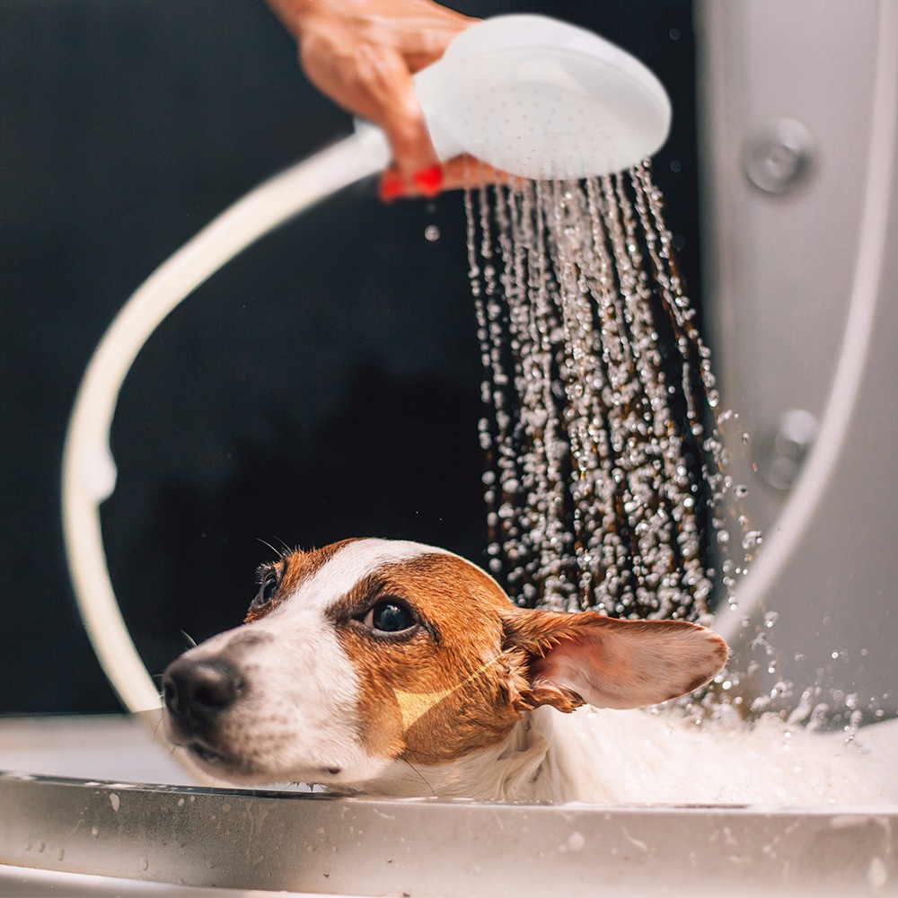 Dog Shower Head Portable Bath