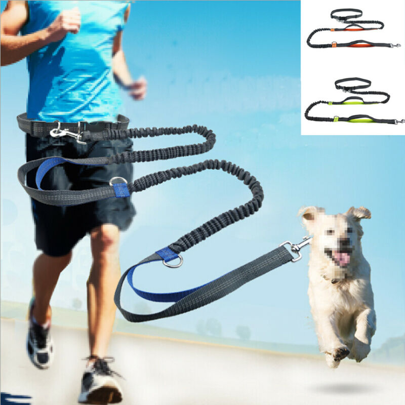 Dog Walking Belt Dog Leash