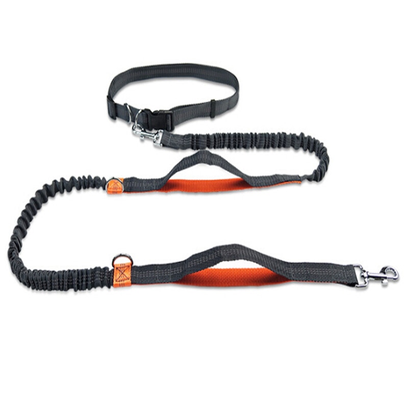 Dog Walking Belt Dog Leash