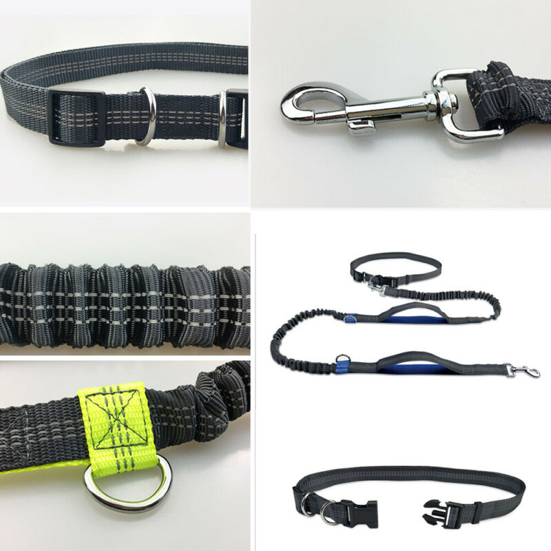 Dog Walking Belt Dog Leash