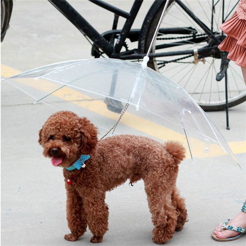 Dog Umbrella with Built-In Leash